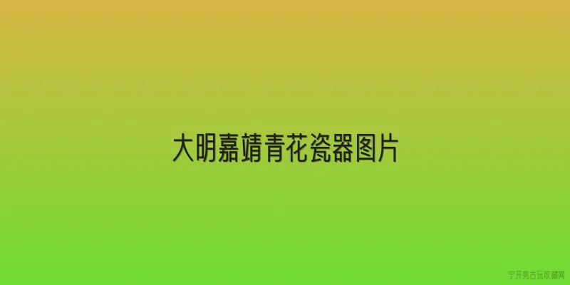 大明嘉靖青花瓷器图片:大明嘉靖青花瓷器图片中，2026年最新发现哪些特征可辨真伪？ - 2026最新瓷器问答知识盘点大全