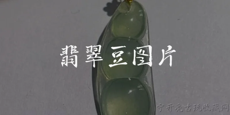 翡翠豆图片:2026年翡翠豆图片的高清资源哪里找？有什么新趋势？ - 2026最新翡翠问答知识盘点大全