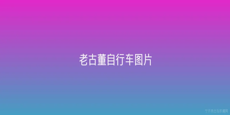老古董自行车图片:什么是老古董自行车，通常指哪些年代的车型？ - 2026最新古董问答知识盘点大全
