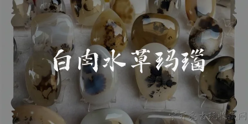 白肉水草玛瑙:什么是白肉水草玛瑙？