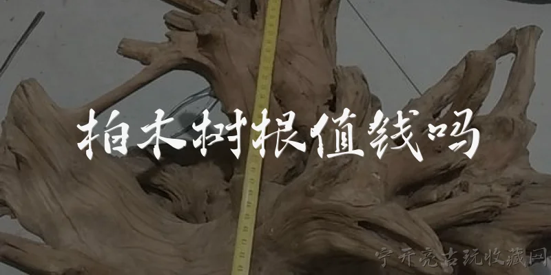 柏木树根值钱吗:柏木树根值钱吗?