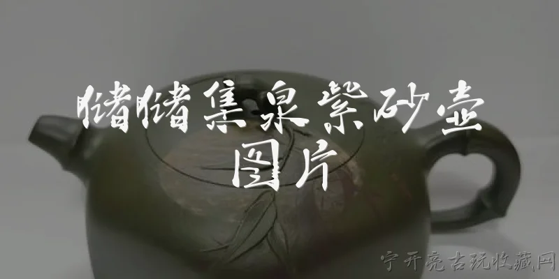 储储集泉紫砂壶图片:储储集泉紫砂壶是什么？